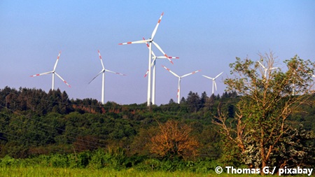 Windenergieanlagen vor Wald